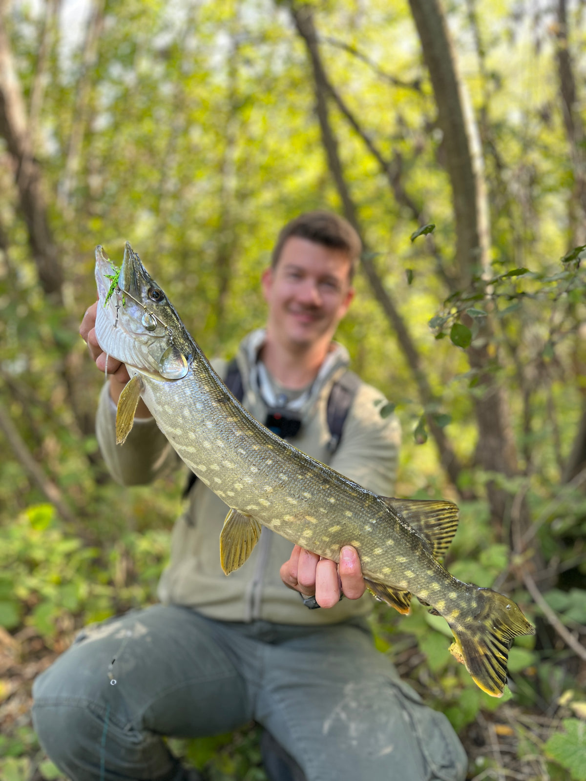 Spinnerbait
