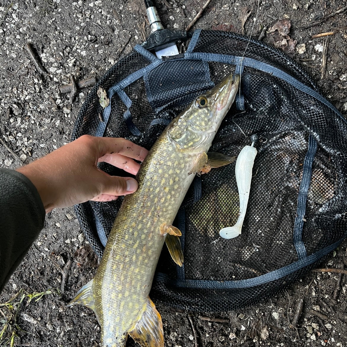 Shad 13cm
